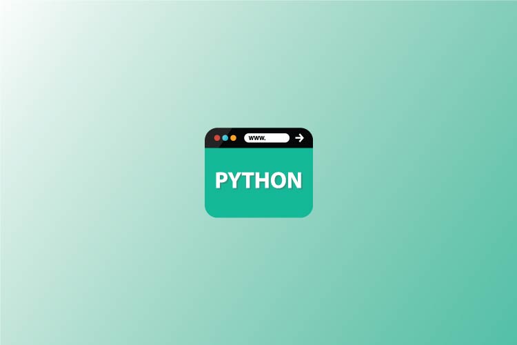 Python Prompt for chatgpt